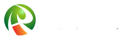 旋流器